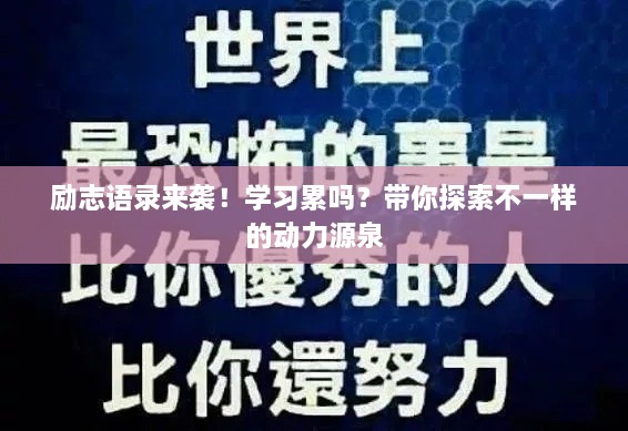 励志语录来袭！学习累吗？带你探索不一样的动力源泉