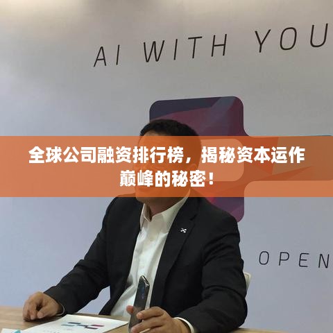 全球公司融资排行榜，揭秘资本运作巅峰的秘密！