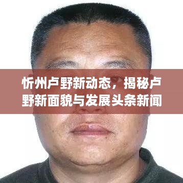 忻州卢野新动态，揭秘卢野新面貌与发展头条新闻