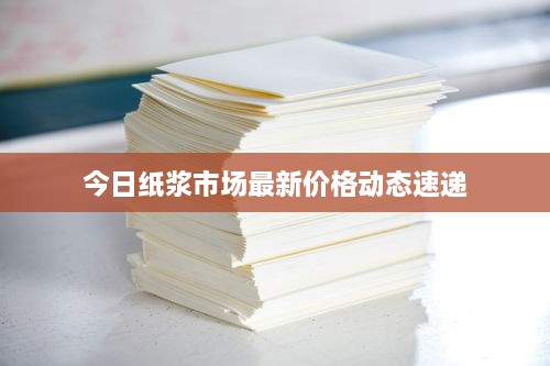 今日纸浆市场最新价格动态速递