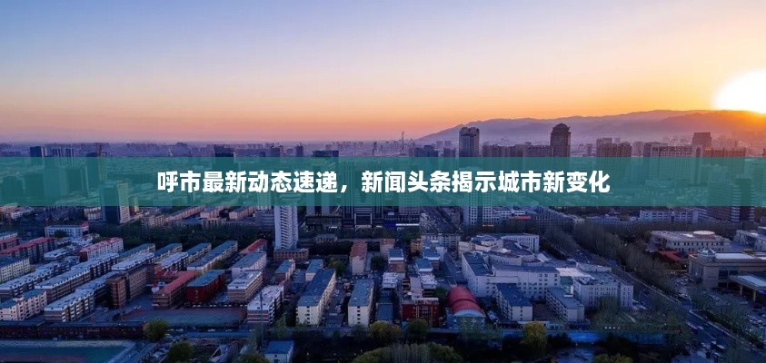 呼市最新动态速递，新闻头条揭示城市新变化