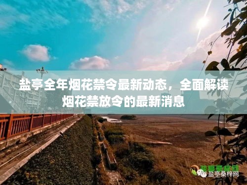 盐亭全年烟花禁令最新动态，全面解读烟花禁放令的最新消息