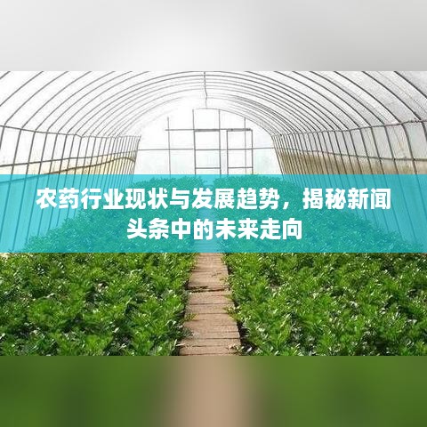 农药行业现状与发展趋势，揭秘新闻头条中的未来走向