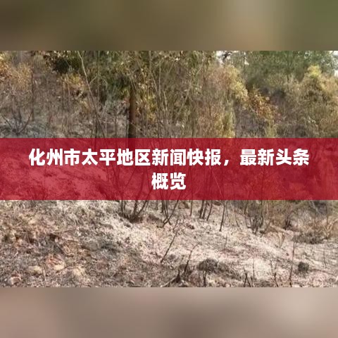 新闻资讯 第24页
