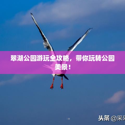 翠湖公园游玩全攻略，带你玩转公园美景！