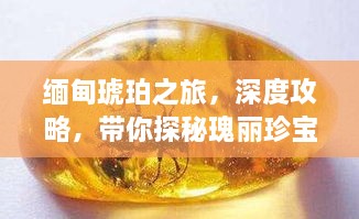缅甸琥珀之旅，深度攻略，带你探秘瑰丽珍宝