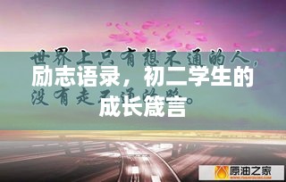 见缝就钻