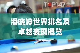 潘晓婷世界排名及卓越表现概览