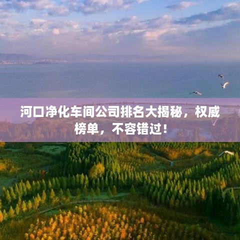 河口净化车间公司排名大揭秘，权威榜单，不容错过！