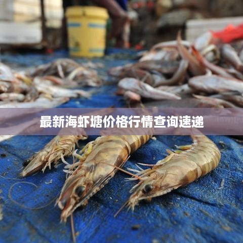 最新海虾塘价格行情查询速递