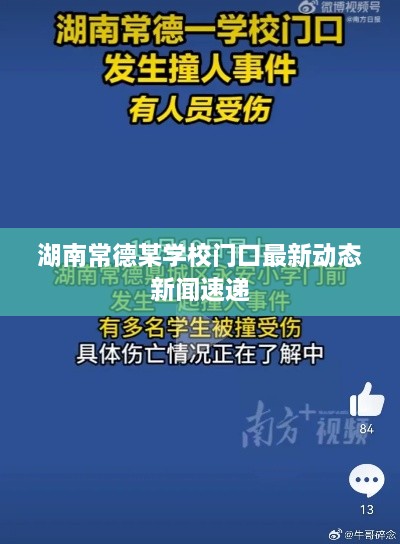 湖南常德某学校门口最新动态新闻速递
