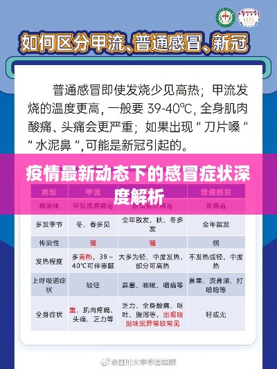 疫情最新动态下的感冒症状深度解析