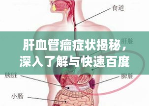 肝血管瘤症状揭秘，深入了解与快速百度搜寻