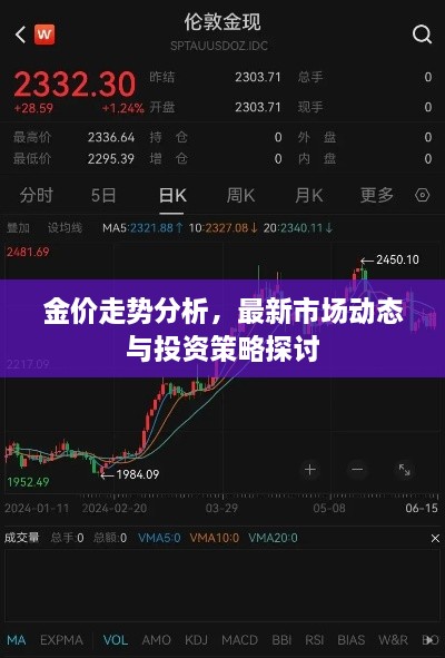 金价走势分析，最新市场动态与投资策略探讨