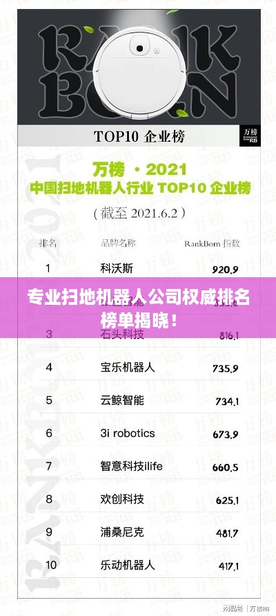 专业扫地机器人公司权威排名榜单揭晓！