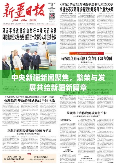 中央新疆新闻聚焦，繁荣与发展共绘新疆新篇章