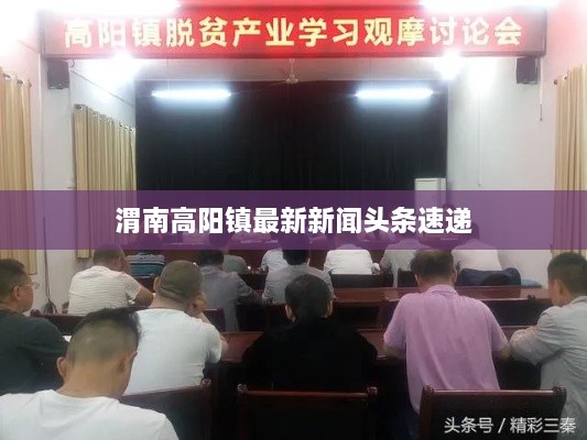 渭南高阳镇最新新闻头条速递
