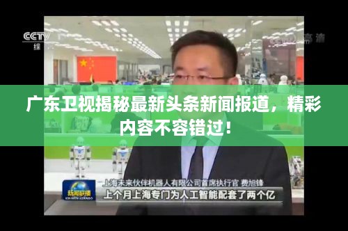 广东卫视揭秘最新头条新闻报道，精彩内容不容错过！