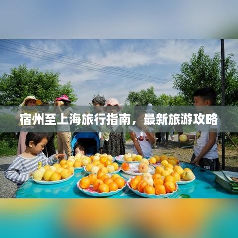 宿州至上海旅行指南，最新旅游攻略