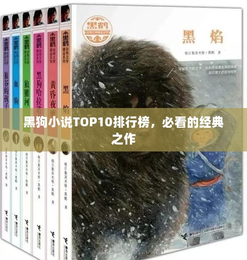 黑狗小说TOP10排行榜，必看的经典之作