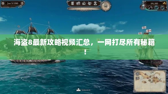 海盗8最新攻略视频汇总，一网打尽所有秘籍！