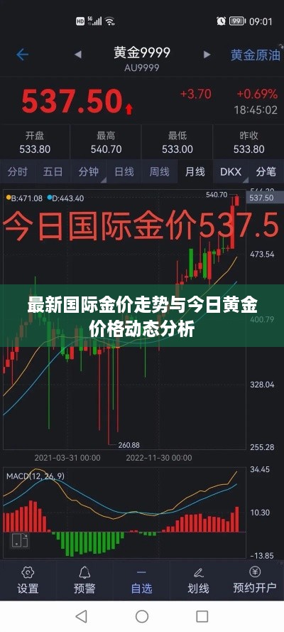 最新国际金价走势与今日黄金价格动态分析