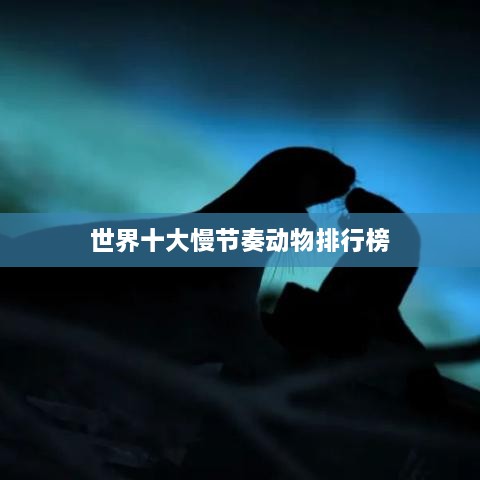 世界十大慢节奏动物排行榜