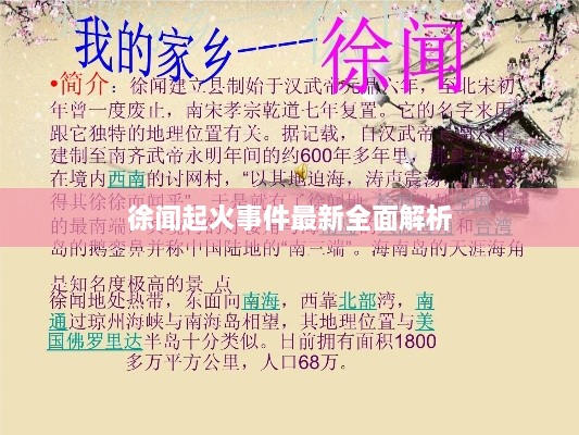 徐闻起火事件最新全面解析