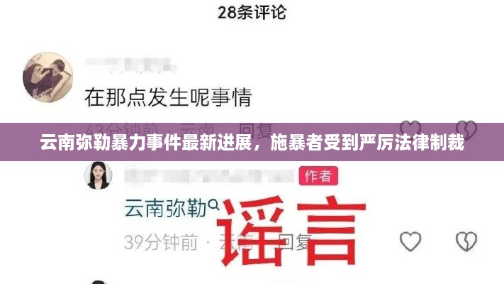 云南弥勒暴力事件最新进展，施暴者受到严厉法律制裁