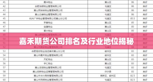 嘉禾期货公司排名及行业地位揭秘