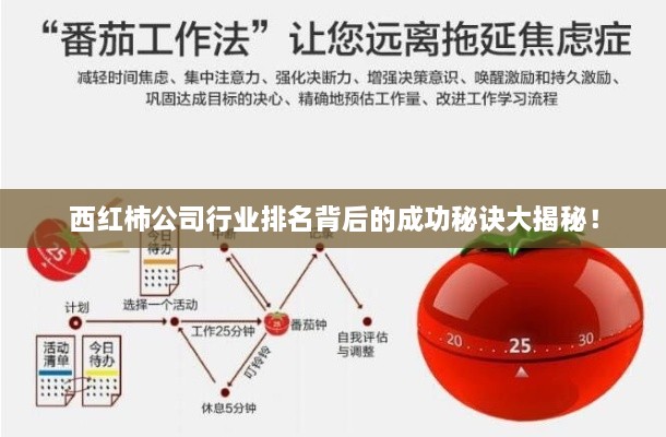 资质荣誉 第18页