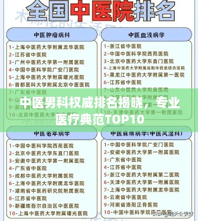 中医男科权威排名揭晓，专业医疗典范TOP10