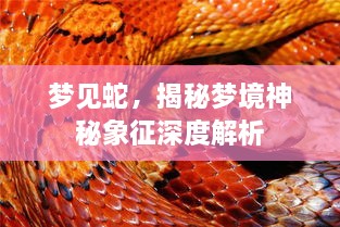 梦见蛇，揭秘梦境神秘象征深度解析
