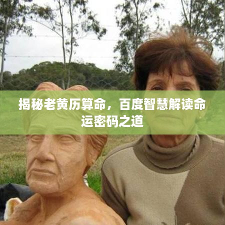 鸟集鳞萃