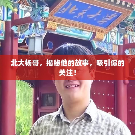北大杨哥，揭秘他的故事，吸引你的关注！