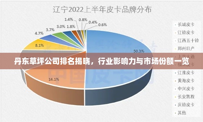 丹东草坪公司排名揭晓，行业影响力与市场份额一览