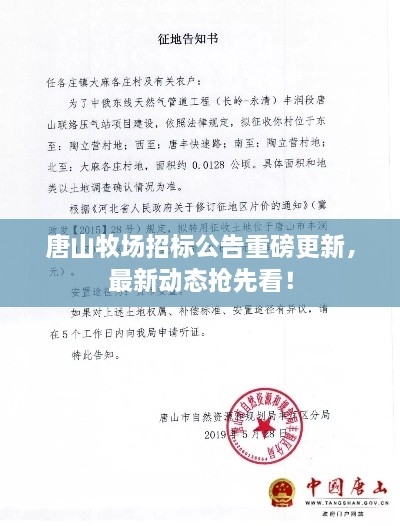 唐山牧场招标公告重磅更新，最新动态抢先看！