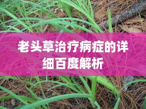 避凶就吉