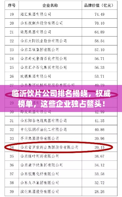 临沂饮片公司排名揭晓，权威榜单，这些企业独占鳌头！
