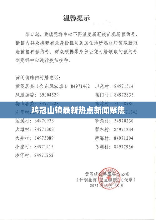 鸡冠山镇最新热点新闻聚焦