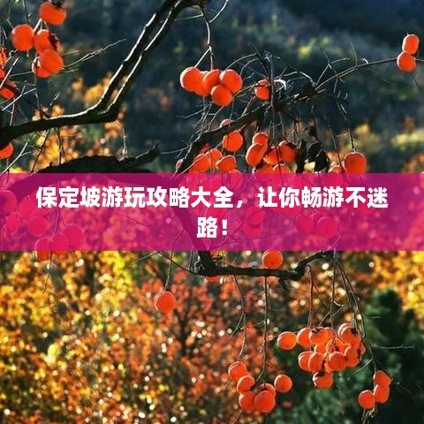 保定坡游玩攻略大全，让你畅游不迷路！