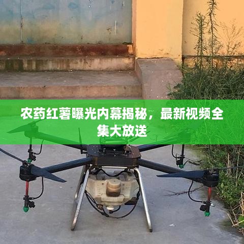 农药红薯曝光内幕揭秘，最新视频全集大放送