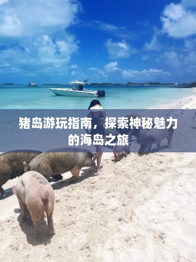 天罗地网