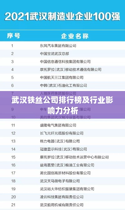 武汉铁丝公司排行榜及行业影响力分析