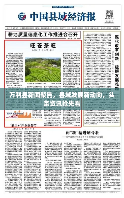 万利县新闻聚焦，县域发展新动向，头条资讯抢先看
