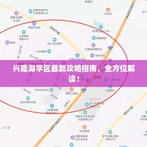 兴隆湖学区最新攻略指南，全方位解读！