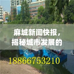 麻城新闻快报，揭秘城市发展的最新动态与热点解析