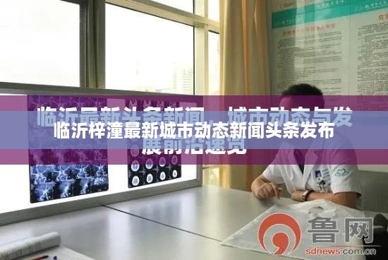 临沂梓潼最新城市动态新闻头条发布