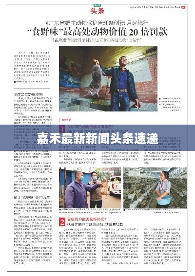 嘉禾最新新闻头条速递