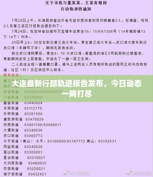 大连最新行踪轨迹报告发布，今日动态一网打尽